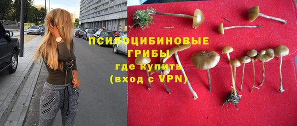 мдпв Балахна