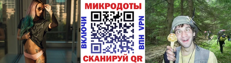 Псилоцибиновые грибы мицелий  где найти наркотики  Кораблино 